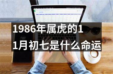 1986年属虎的11月初七是什么命运