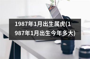 1987年1月出生属虎(1987年1月出生今年多大)