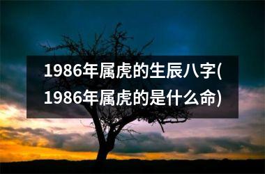 1986年属虎的生辰八字(1986年属虎的是什么命)