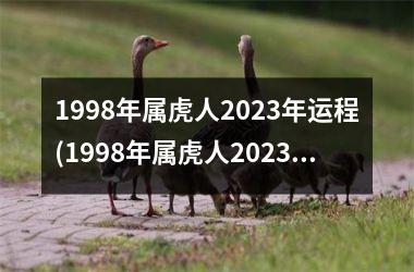 1998年属虎人2023年运程(1998年属虎人2023年运势及运程每月运程)