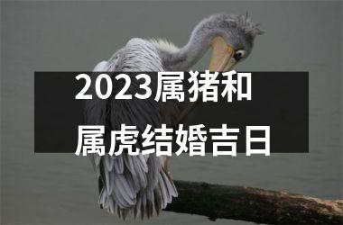 2025属猪和属虎结婚吉日