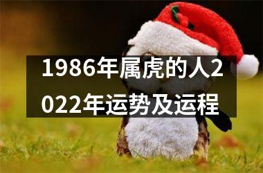 1986年属虎的人2025年运势及运程