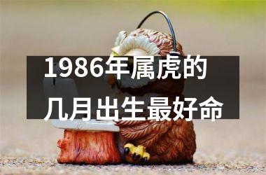 1986年属虎的几月出生最好命