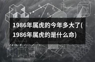 1986年属虎的今年多大了(1986年属虎的是什么命)