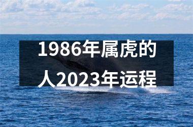 1986年属虎的人2025年运程