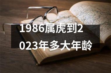 1986属虎到2025年多大年龄