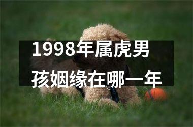 1998年属虎男孩姻缘在哪一年