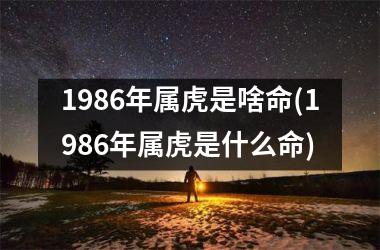 1986年属虎是啥命(1986年属虎是什么命)