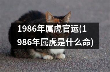 1986年属虎官运(1986年属虎是什么命)