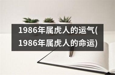 1986年属虎人的运气(1986年属虎人的命运)