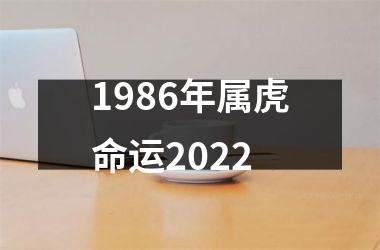 1986年属虎命运2025