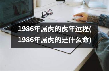 1986年属虎的虎年运程(1986年属虎的是什么命)