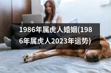 1986年属虎人婚姻(1986年属虎人2025年运势)