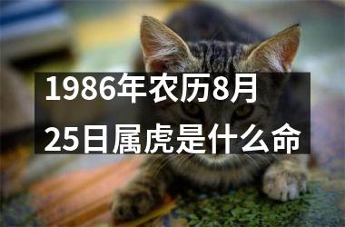 1986年农历8月25日属虎是什么命