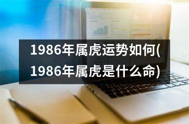 1986年属虎运势如何(1986年属虎是什么命)