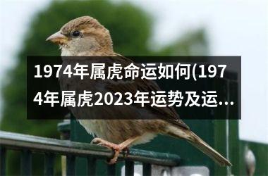 1974年属虎命运如何(1974年属虎2025年运势及运程每月运程)