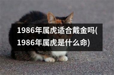 1986年属虎适合戴金吗(1986年属虎是什么命)