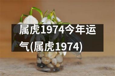 属虎1974今年运气(属虎1974)