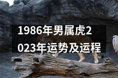 1986年男属虎2023年运势及运程