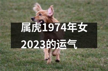 属虎1974年女2025的运气