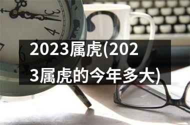 2025属虎(2025属虎的今年多大)