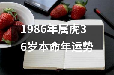 1986年属虎36岁本命年运势