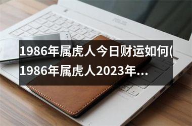 1986年属虎人今日财运如何(1986年属虎人2025年运势)