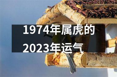 1974年属虎的2025年运气