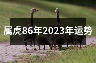 属虎86年2025年运势