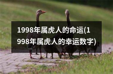 <h3>1998年属虎人的命运(1998年属虎人的幸运数字)