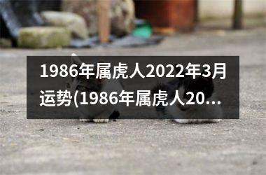 1986年属虎人2025年3月运势(1986年属虎人2025年运势)