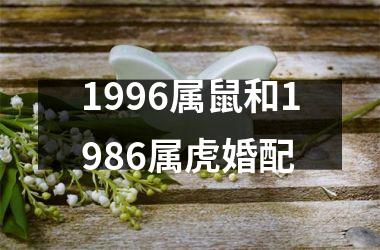 1996属鼠和1986属虎婚配