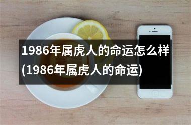 1986年属虎人的命运怎么样(1986年属虎人的命运)