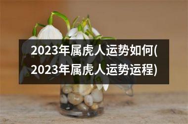 <h3>2025年属虎人运势如何(2025年属虎人运势运程)