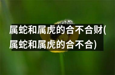 属蛇和属虎的合不合财(属蛇和属虎的合不合)