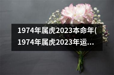 1974年属虎2025本命年(1974年属虎2025年运势及运程每月运程)