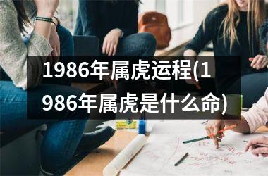 <h3>1986年属虎运程(1986年属虎是什么命)