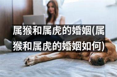 属猴和属虎的婚姻(属猴和属虎的婚姻如何)