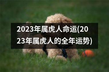 <h3>2025年属虎人命运(2025年属虎人的全年运势)