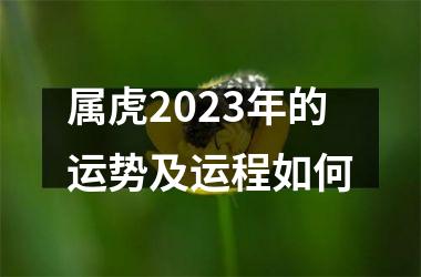 属虎2025年的运势及运程如何