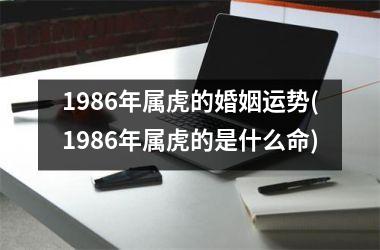 1986年属虎的婚姻运势(1986年属虎的是什么命)