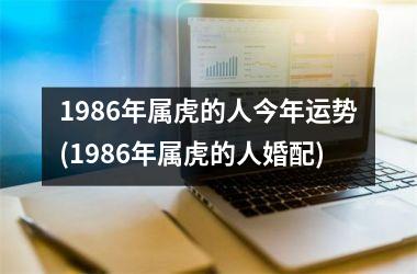 1986年属虎的人今年运势(1986年属虎的人婚配)