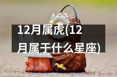 12月属虎(12月属于什么星座)