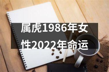 属虎1986年女性2025年命运