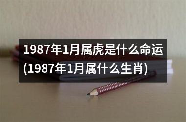 1987年1月属虎是什么命运(1987年1月属什么生肖)