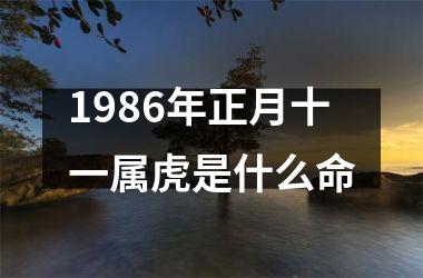 1986年正月十一属虎是什么命