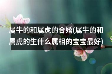 <h3>属牛的和属虎的合婚(属牛的和属虎的生什么属相的宝宝最好)