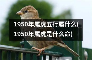 <h3>1950年属虎五行属什么(1950年属虎是什么命)