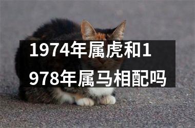 1974年属虎和1978年属马相配吗