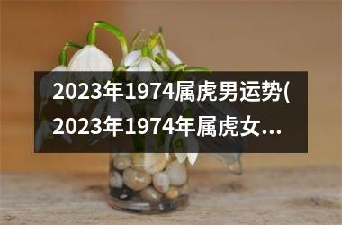 2025年1974属虎男运势(2025年1974年属虎女的全年运势)